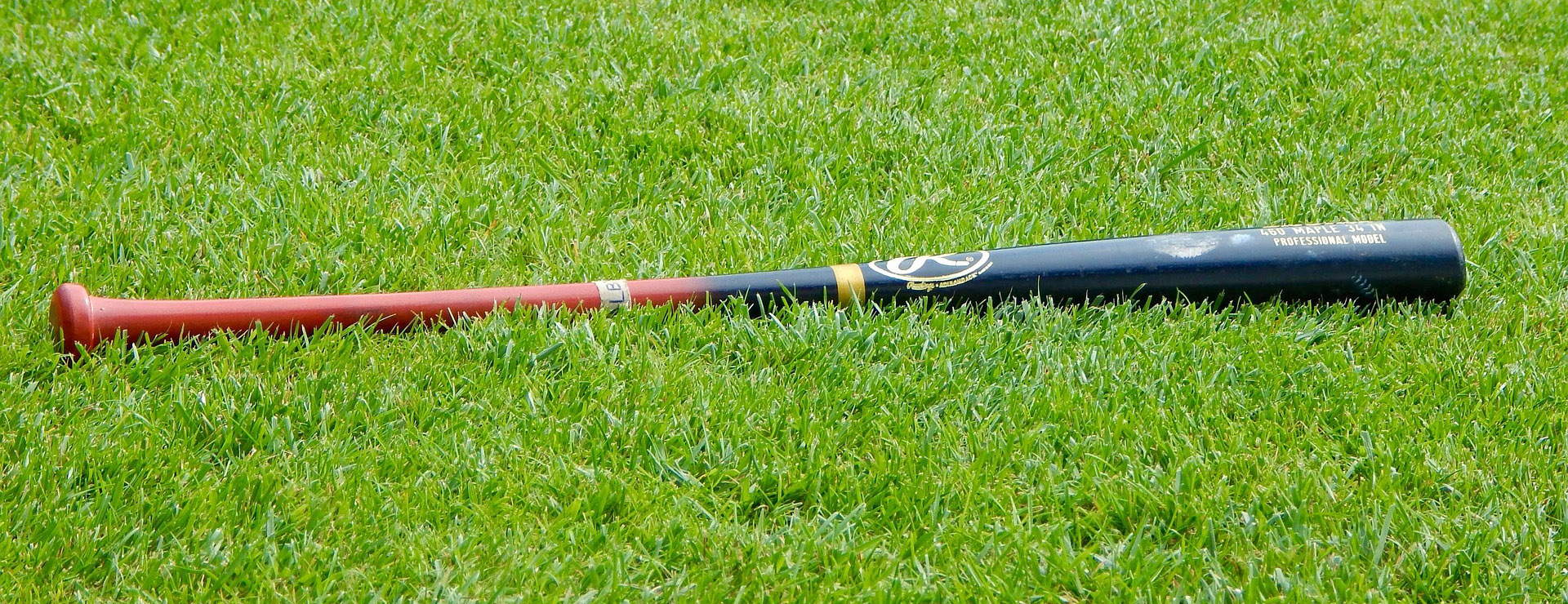 Baseball Gear Store -Baseball Gear Store baseball 1646091 1920