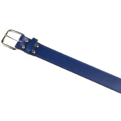 Champro Leather Adult Baseball/Softball Belt -Baseball Gear Store champro a063 ryl 34989.1679445970