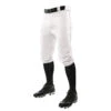 Champro Youth MVP Baseball Knicker Pant