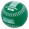 Champro Weighted Training Fastpitch Softball