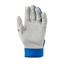 Evoshield Daze Adult Baseball/Softball Batting Gloves -Baseball Gear Store wb5722203 1 evo daze batting glove adult ro.png.cq5dam.web .2000.2000 46302.1679446035