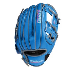 Wilson A200 EZ Catch Love The Moment 10 Inch WBW10090810 Youth Baseball Glove -Baseball Gear Store wbw100908 0 a200 autism ez catch 10 unisex autismblue 76450.1674067611